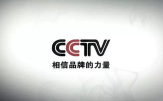 雷軍 努力工作，克制貪婪——數字廣告時代的智慧箴言